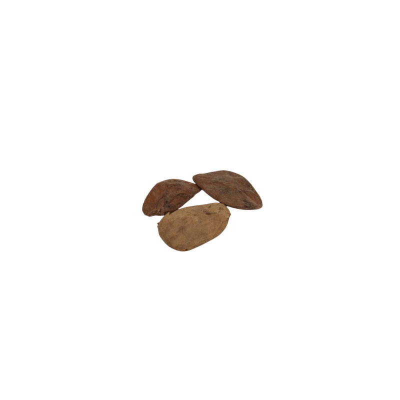 Fava Abere