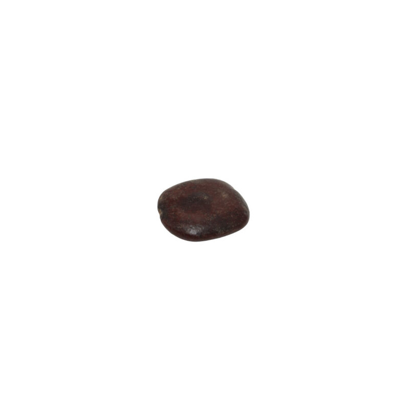 Fava Alibe