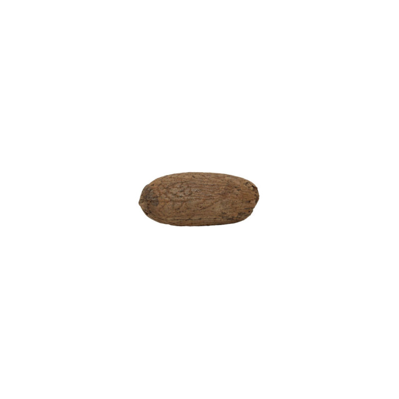 Fava Eschoto