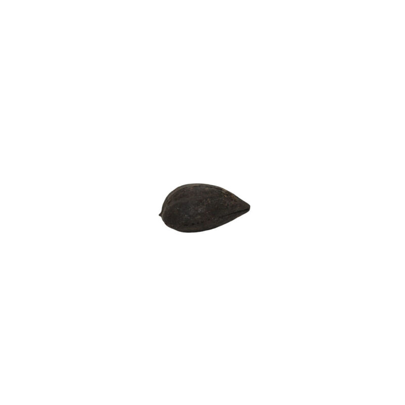 Fava Exu