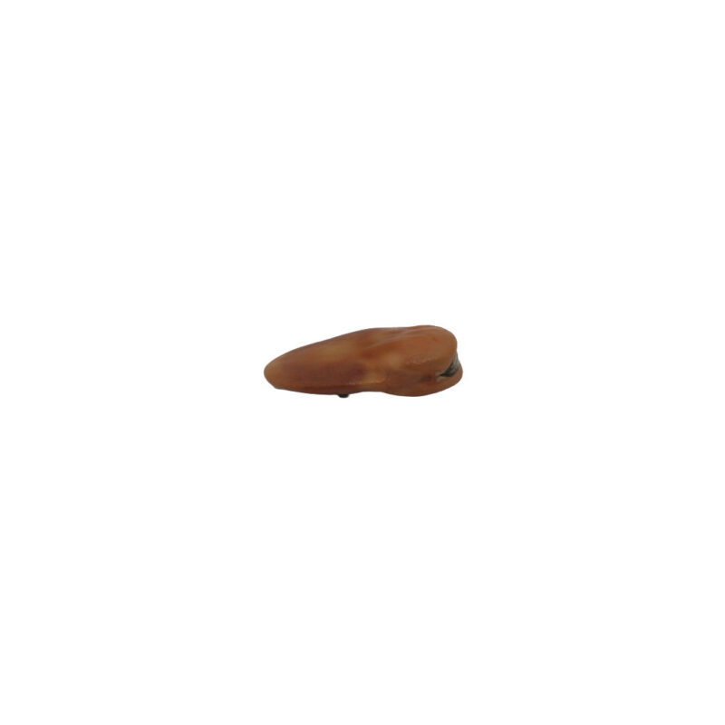 Fava Iansa