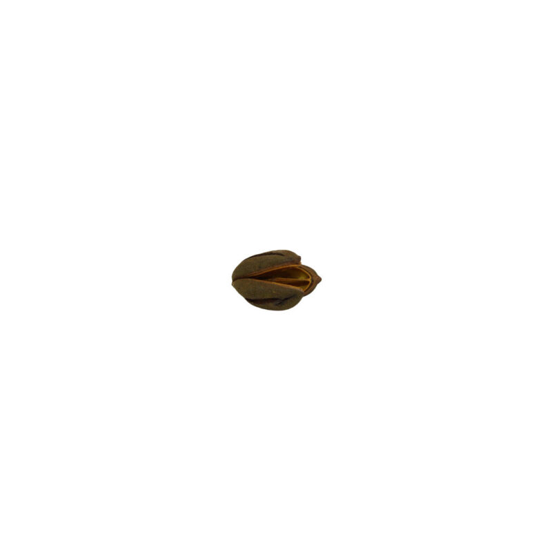 Fava Obara