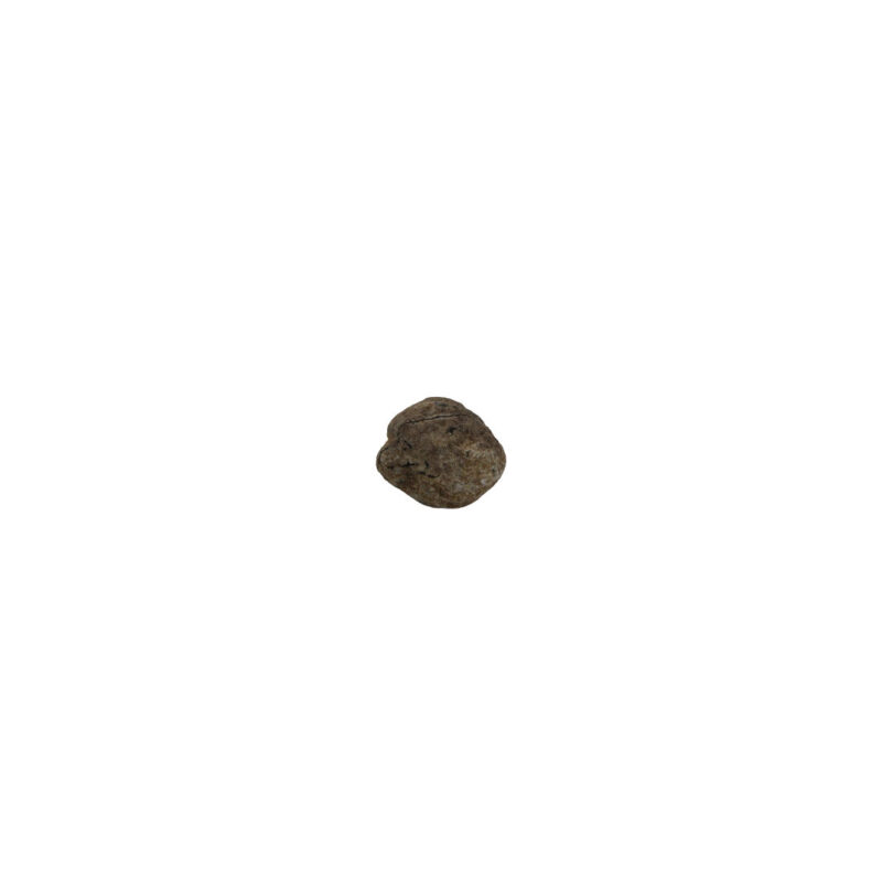 Fava Omulu