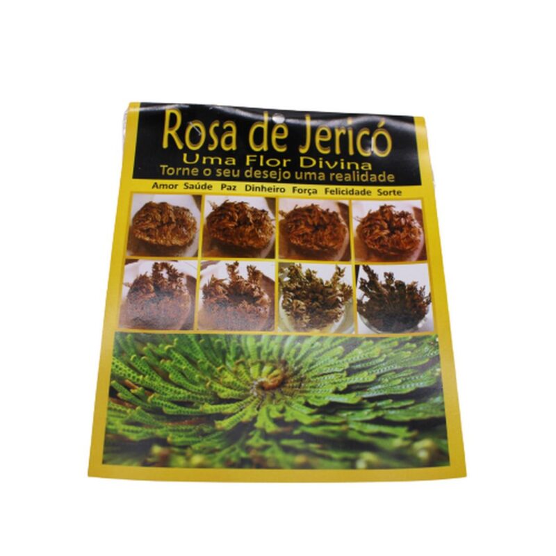 Rosa de Jerico