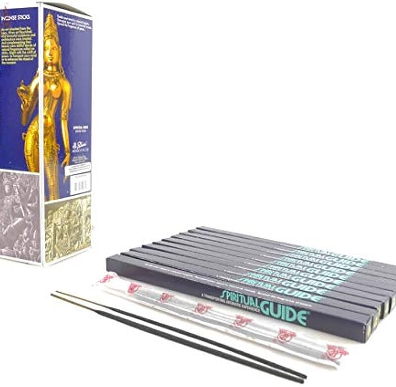 Incenso Padmini Spiritual Guide 20gr cx6