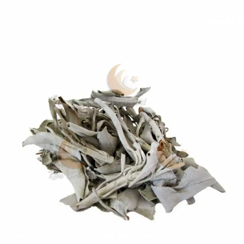Salvia Branca Kg