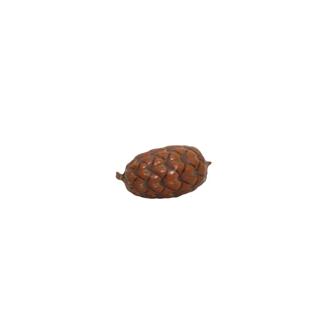 Fava Pinha De Oxossi